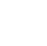 Network Security icon